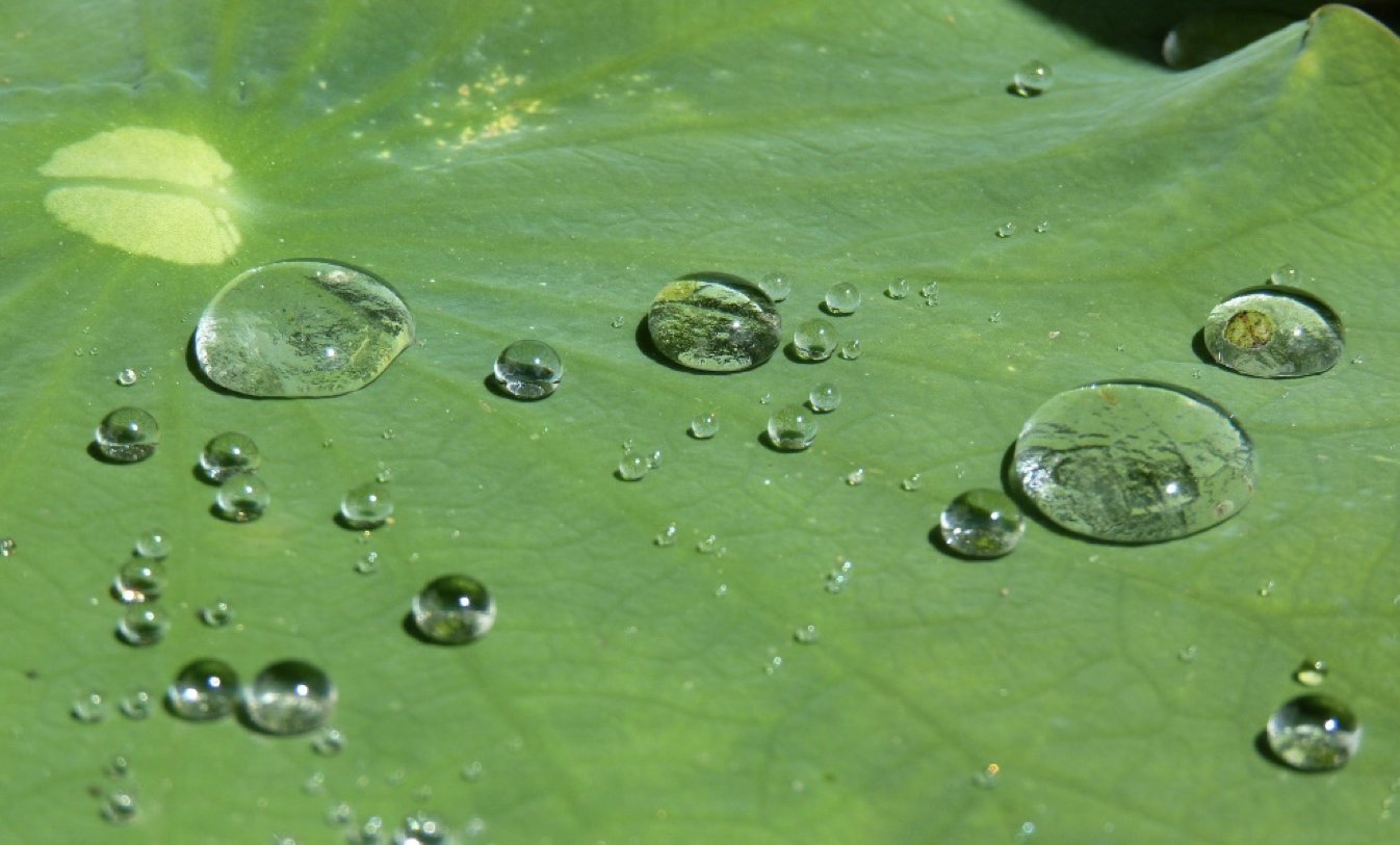 水性疏水劑在水性樹(shù)脂、涂料中能用嗎